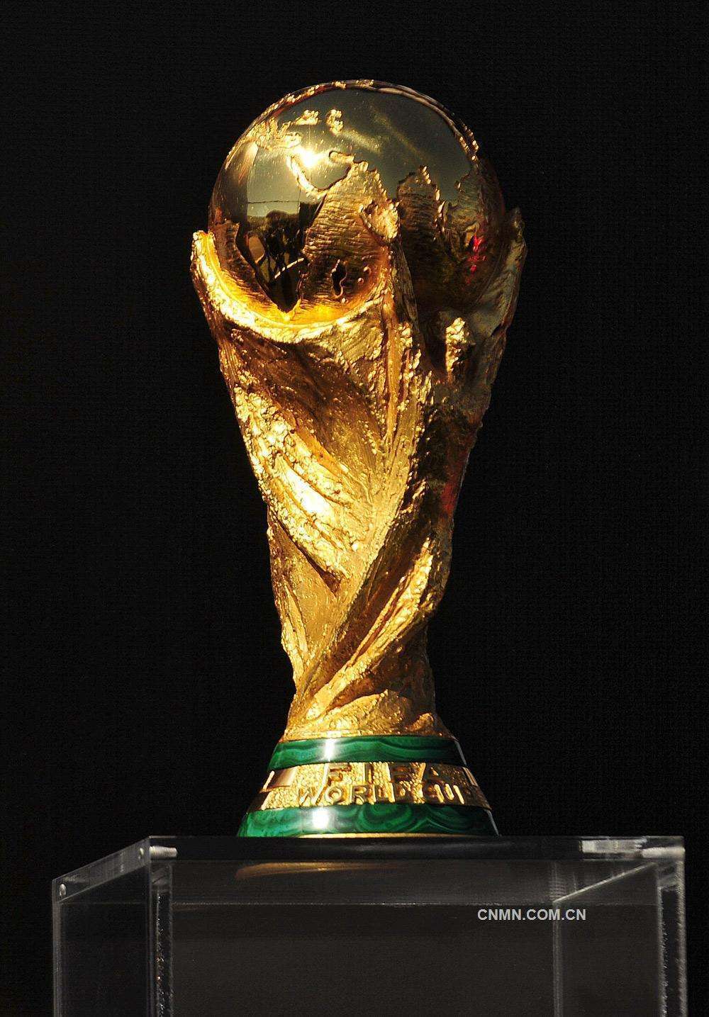 至今只有8个国家夺得过世界杯男子足球锦标赛冠军